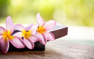 Pink flowers